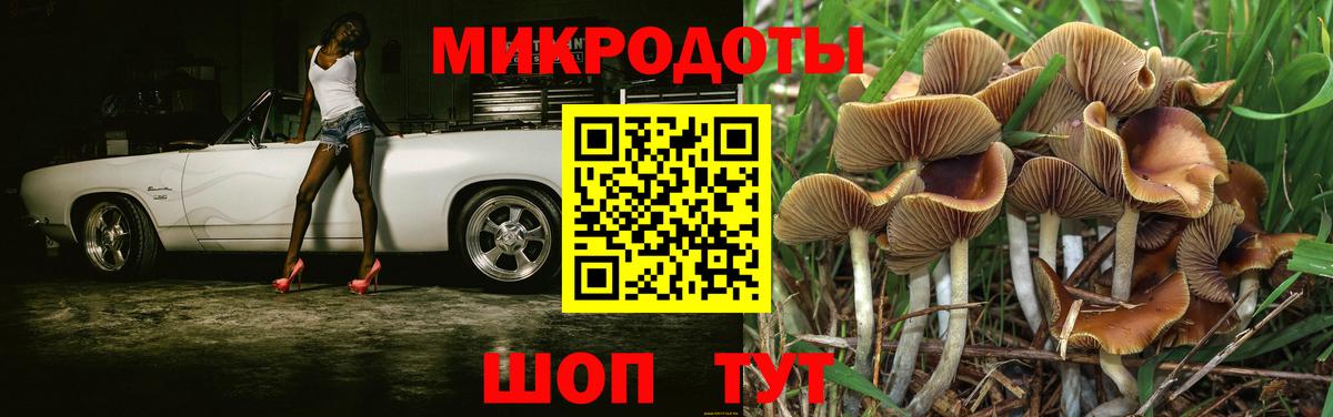 Галлюциногенные грибы GOLDEN TEACHER  Галлюциногенные грибы мицелий  Вход с VPN  Костомукша 
